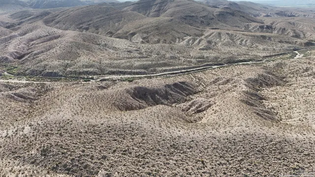 a view of a forest with mountains in the background