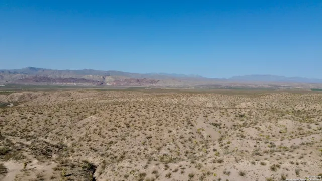 a view of a forest with mountains in the background