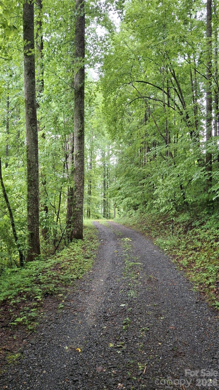 0 Dry Creek Road Robbinsville, NC 28771 - Photo 16 of 20