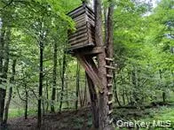 a view of a backyard of the house