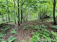 a view of outdoor space and trees