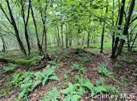 a view of a lush green forest