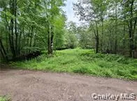 a view of a yard with a trees