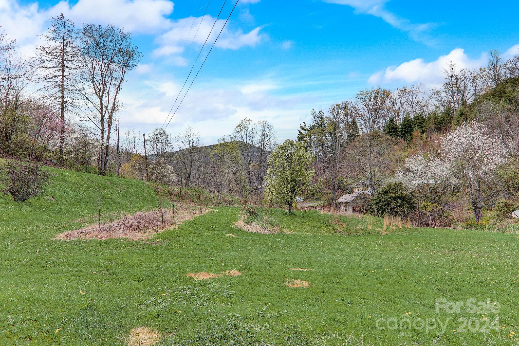 261 Russell Cove Road Waynesville, NC 28785 - Photo 32 of 46 Gallery Image 32