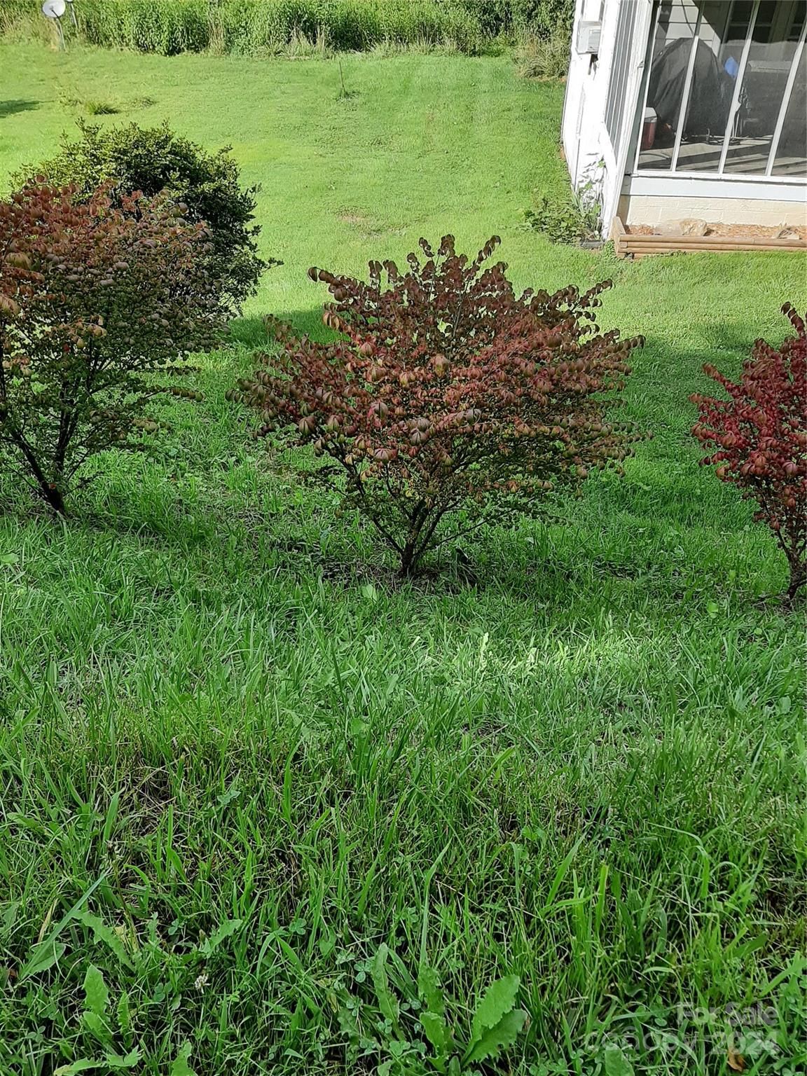 261 Russell Cove Road Waynesville, NC 28785 - Photo 43 of 46 Gallery Image 43