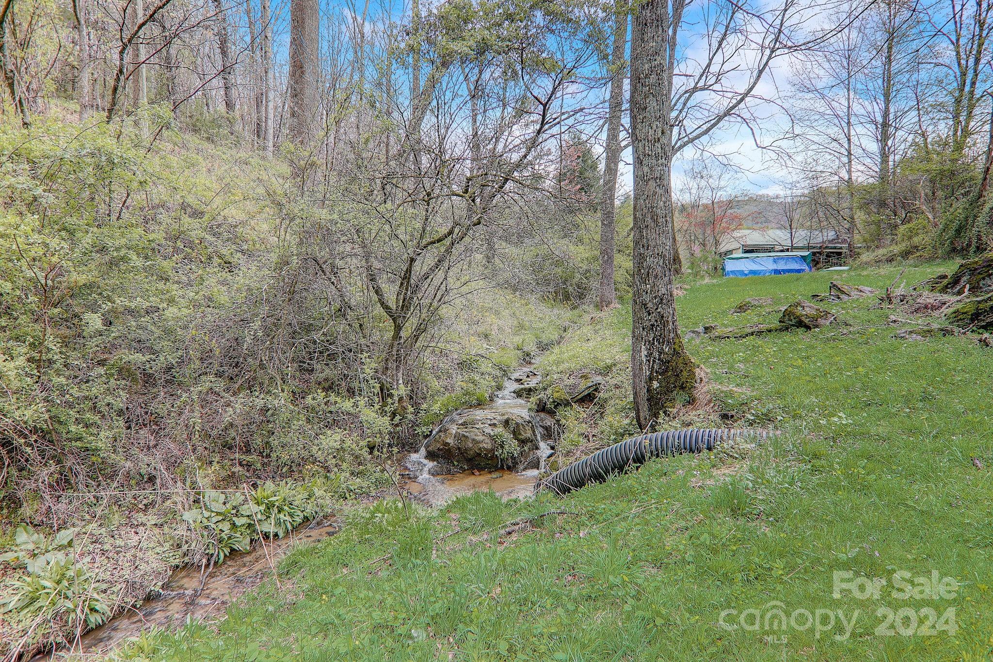 261 Russell Cove Road Waynesville, NC 28785 - Photo 45 of 46 Gallery Image 45