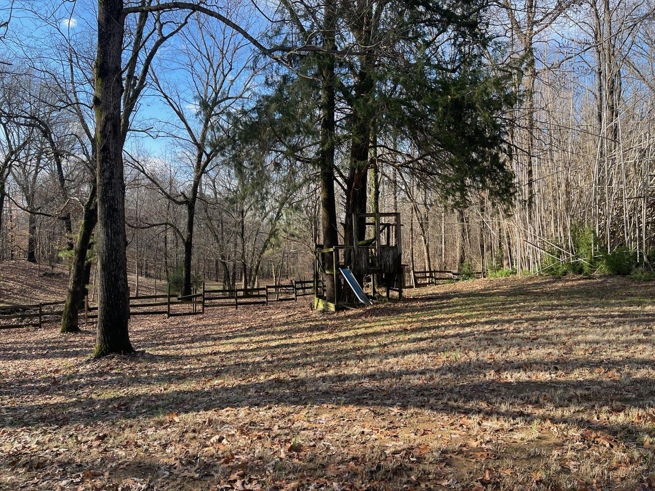 1199 McQuiston Road Brighton, TN 38011 - Photo 3 of 16 View of yard