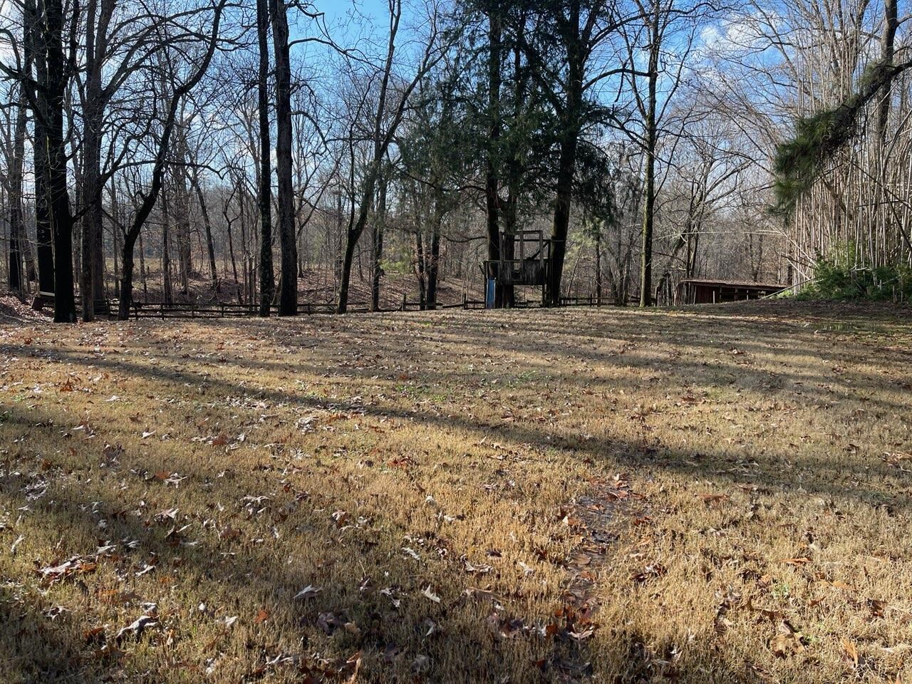 1199 McQuiston Road Brighton, TN 38011 - Photo 4 of 16 View of yard