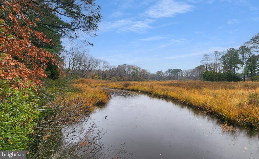 26355 Mt Nebo Road Onancock, VA 23417 - Photo 11 of 62