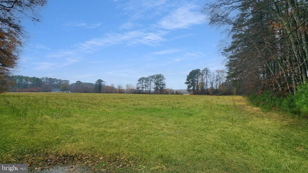 26355 Mt Nebo Road Onancock, VA 23417 - Photo 47 of 62