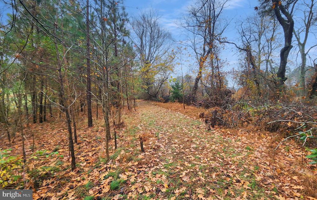 26355 Mt Nebo Road Onancock, VA 23417 - Photo 60 of 62