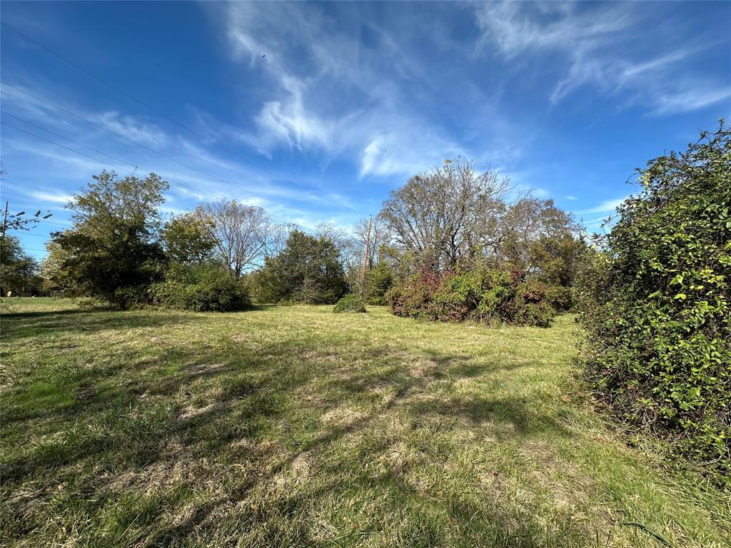 731 Northwest 1st Street Cooper, TX 75432 - Photo 1 of 9 a view of big yard with large trees
