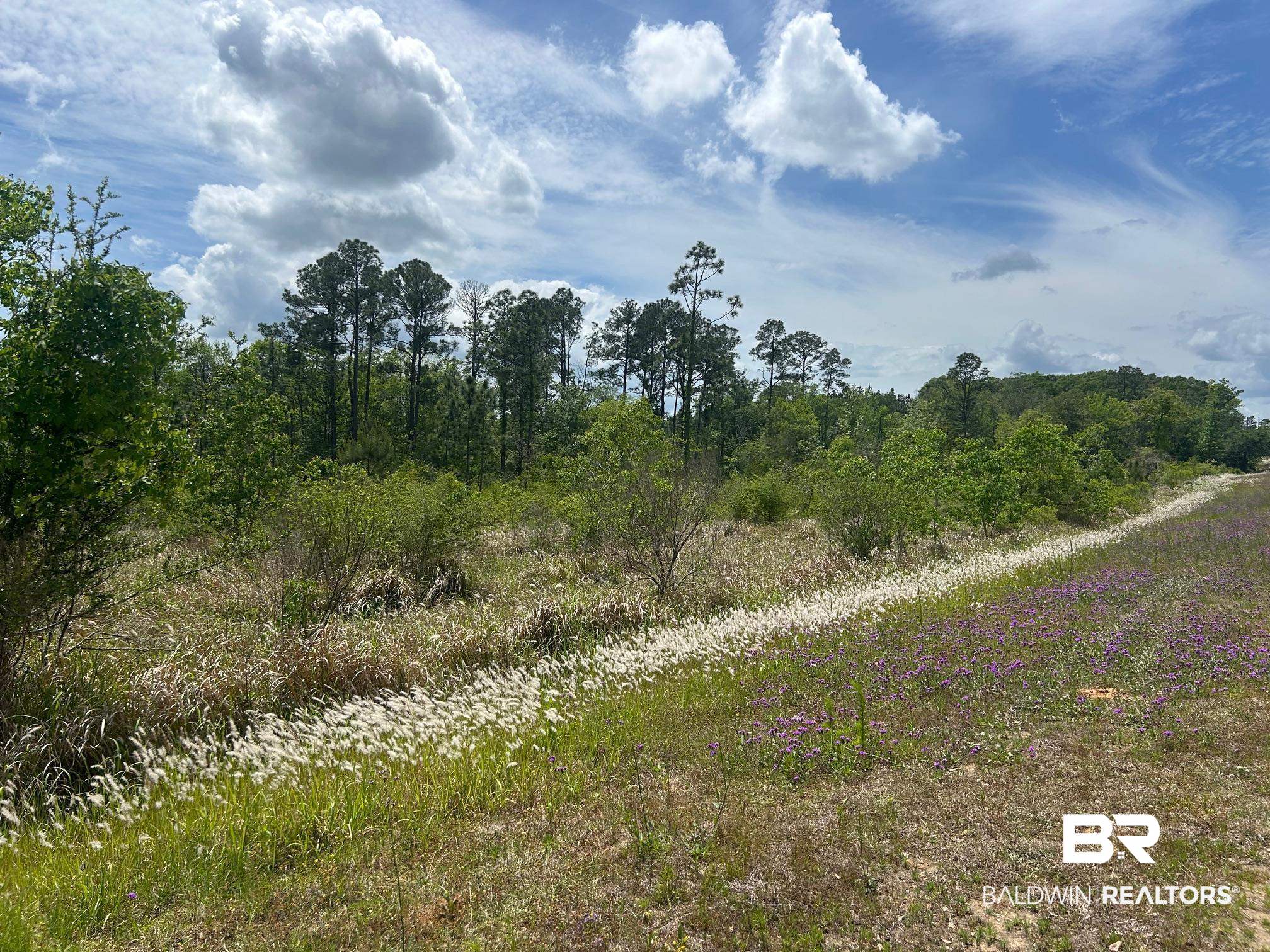 0 Hampton Road Mobile, AL 36608 - Photo 4 of 13