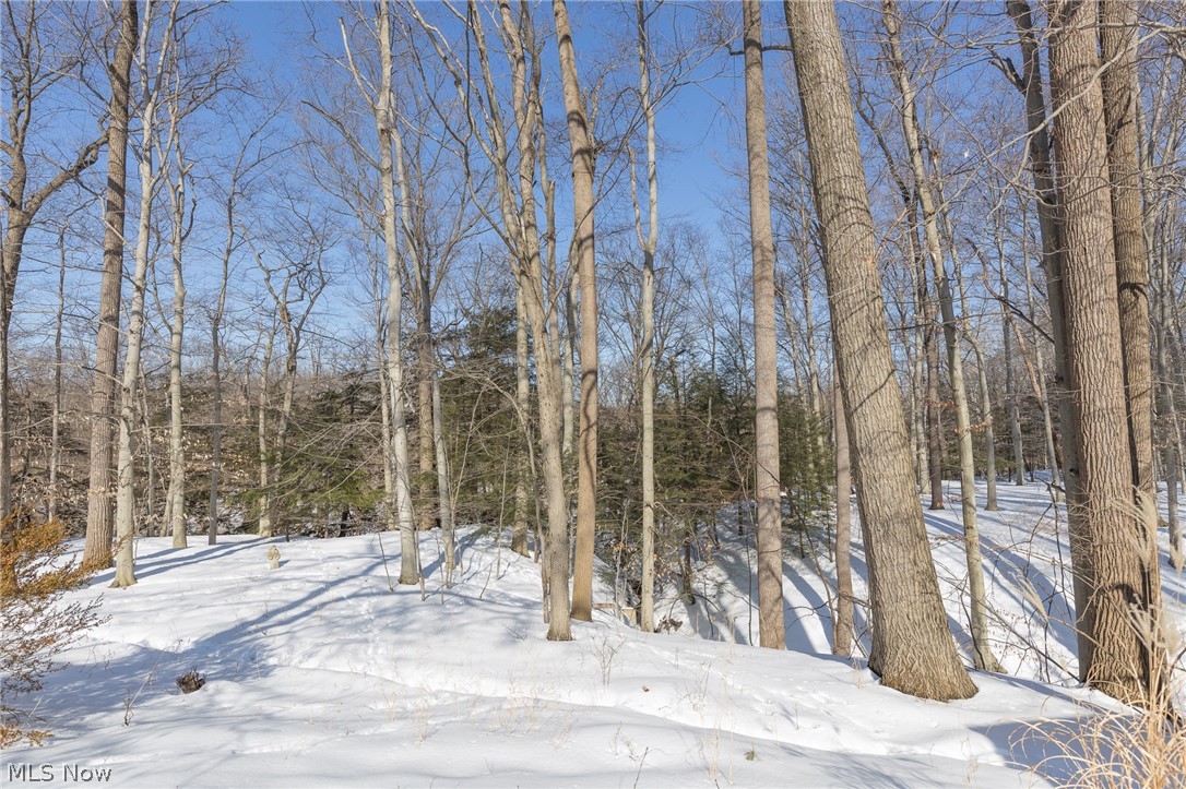 11663 River Ridge Road Strongsville, OH 44136 - Photo 28 of 31 Gallery Image 28