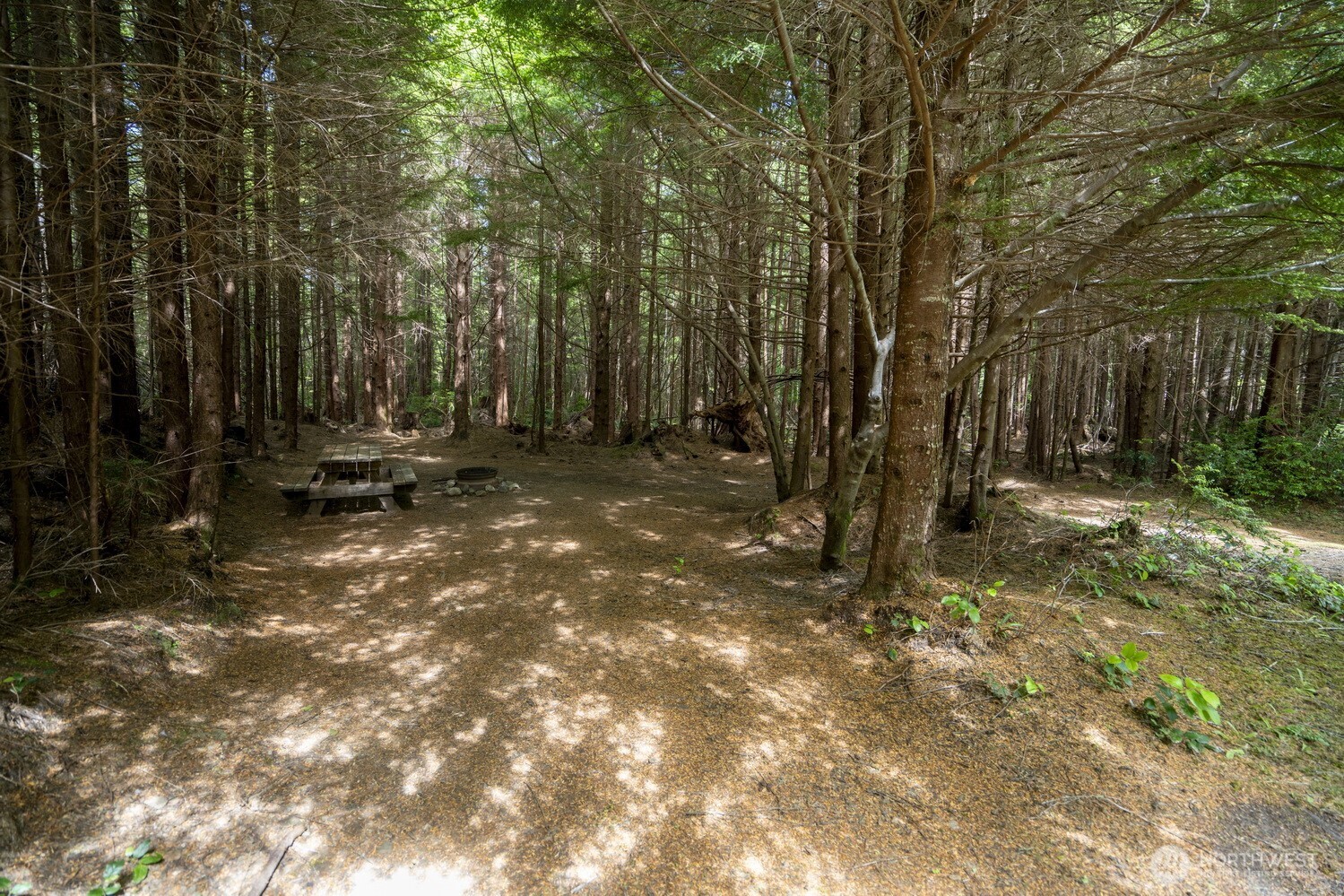 20860 Hoko-Ozette Road Clallam Bay, WA 98326 - Photo 15 of 40