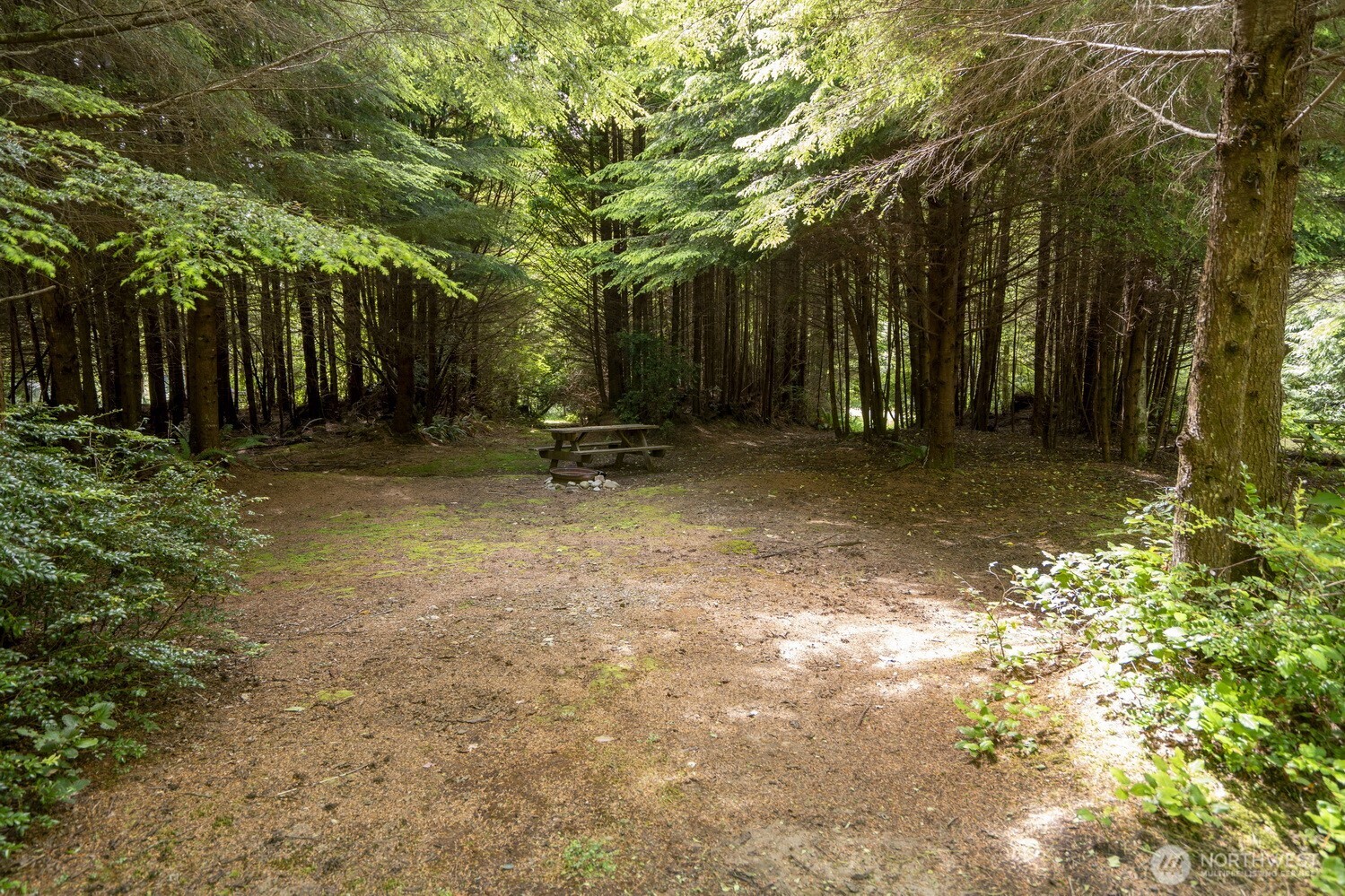 20860 Hoko-Ozette Road Clallam Bay, WA 98326 - Photo 16 of 40