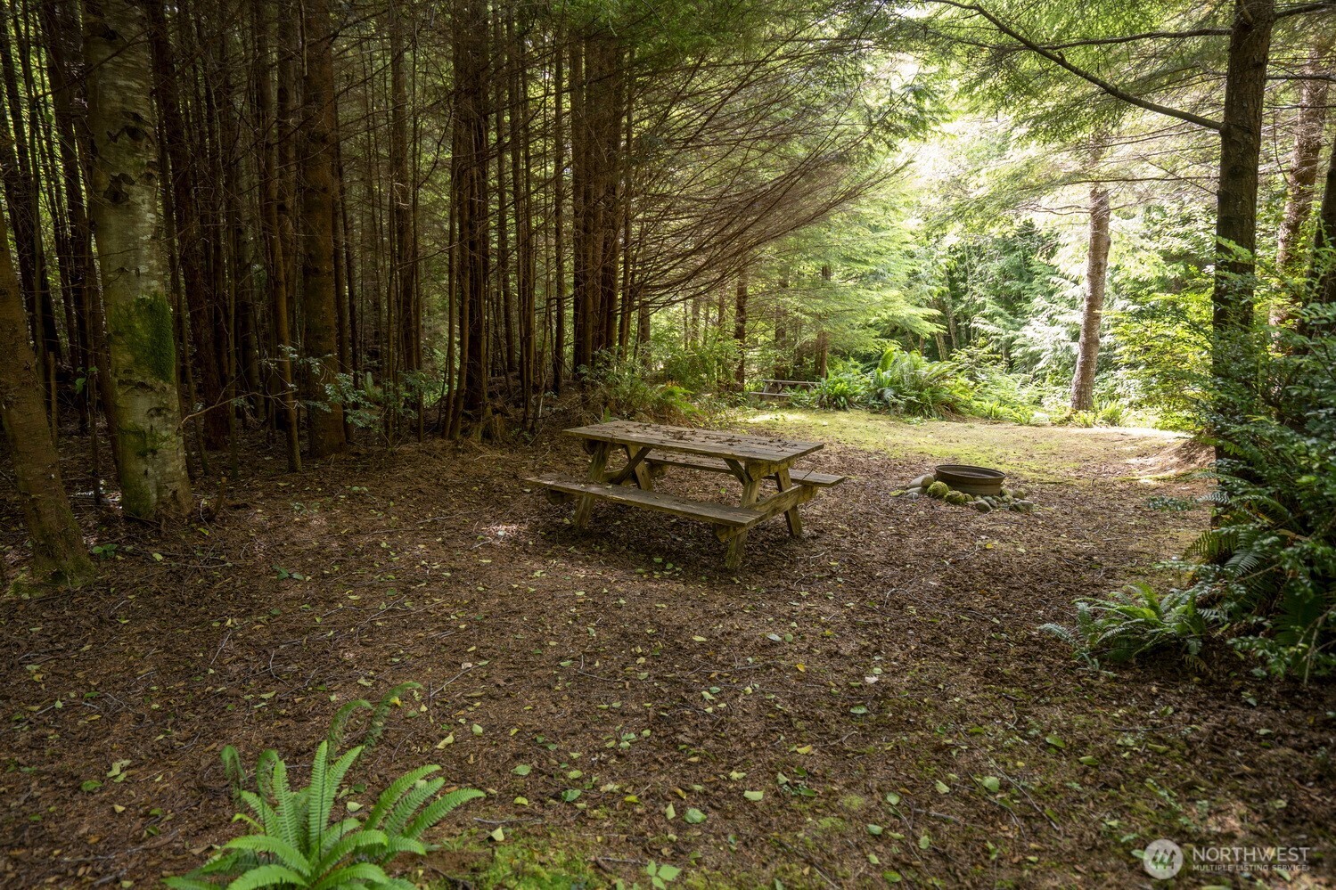 20860 Hoko-Ozette Road Clallam Bay, WA 98326 - Photo 17 of 40