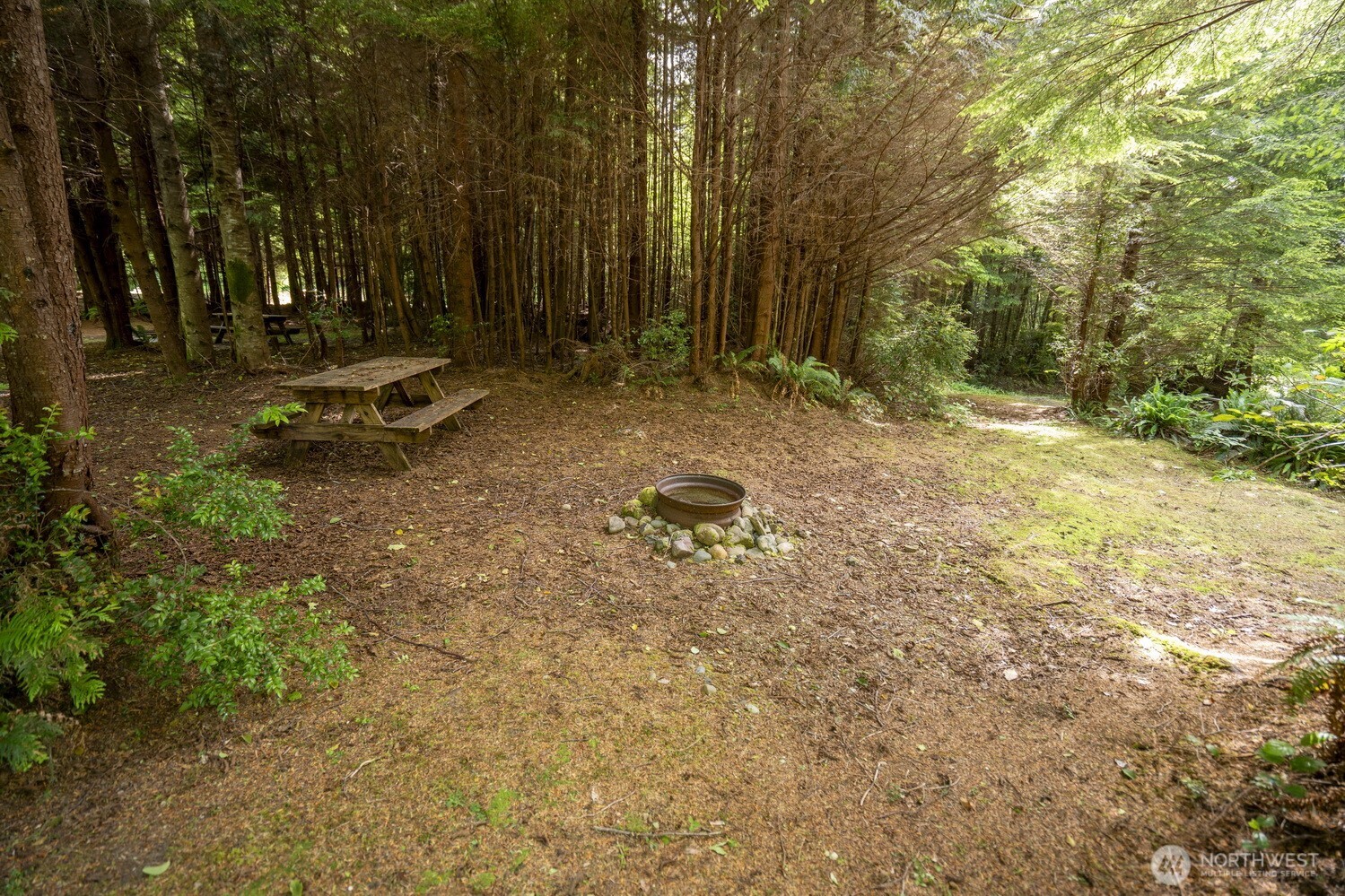 20860 Hoko-Ozette Road Clallam Bay, WA 98326 - Photo 18 of 40