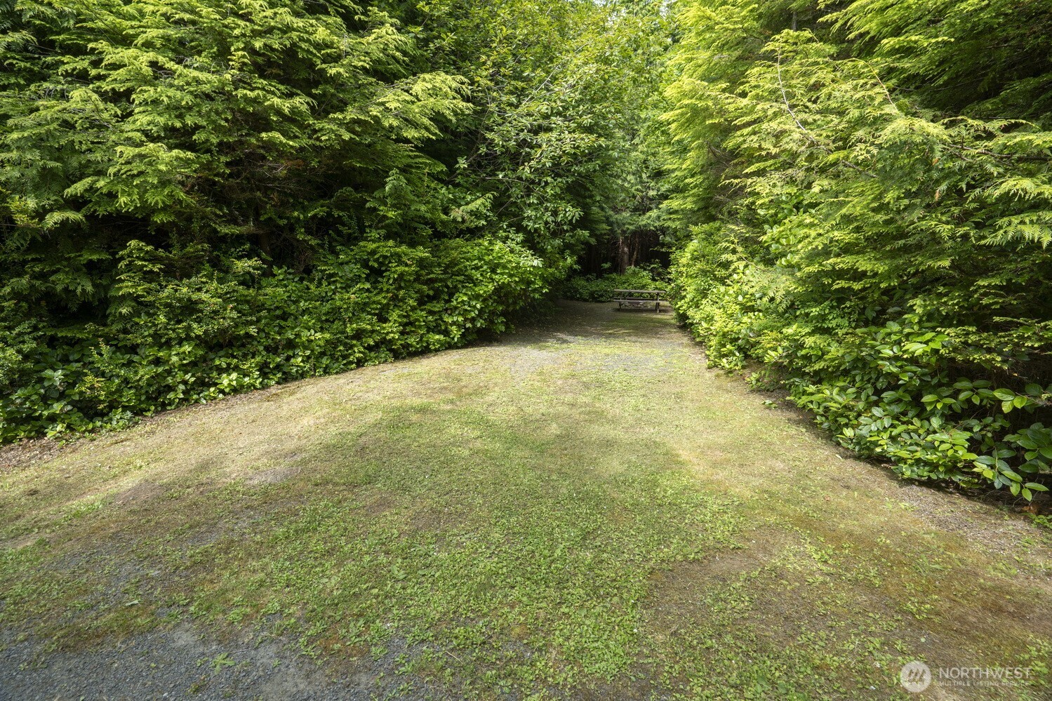 20860 Hoko-Ozette Road Clallam Bay, WA 98326 - Photo 19 of 40