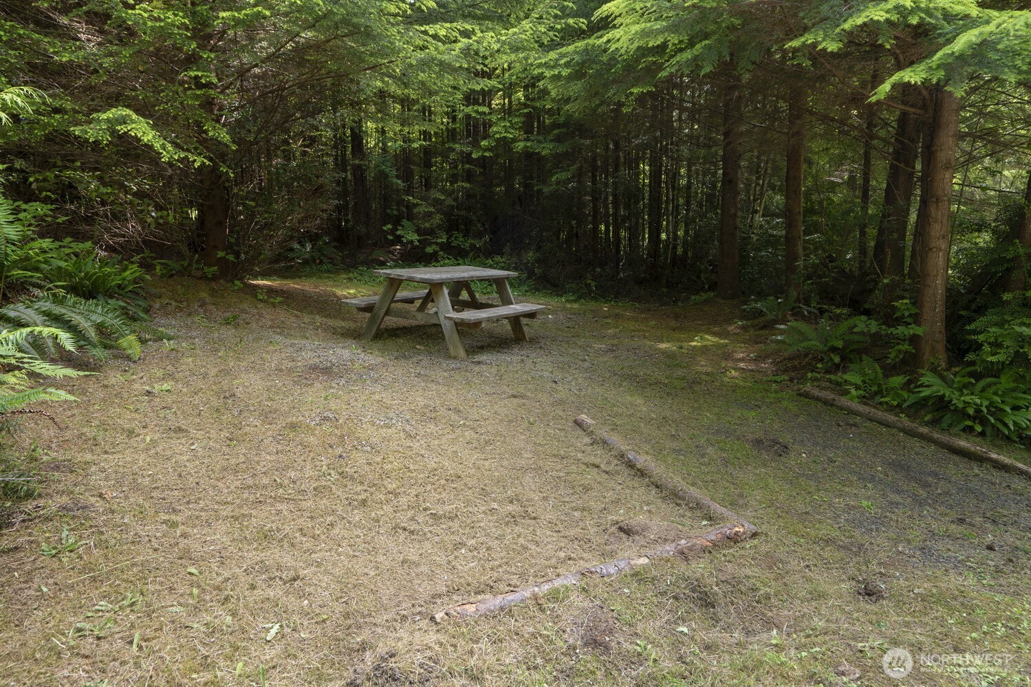 20860 Hoko-Ozette Road Clallam Bay, WA 98326 - Photo 20 of 40