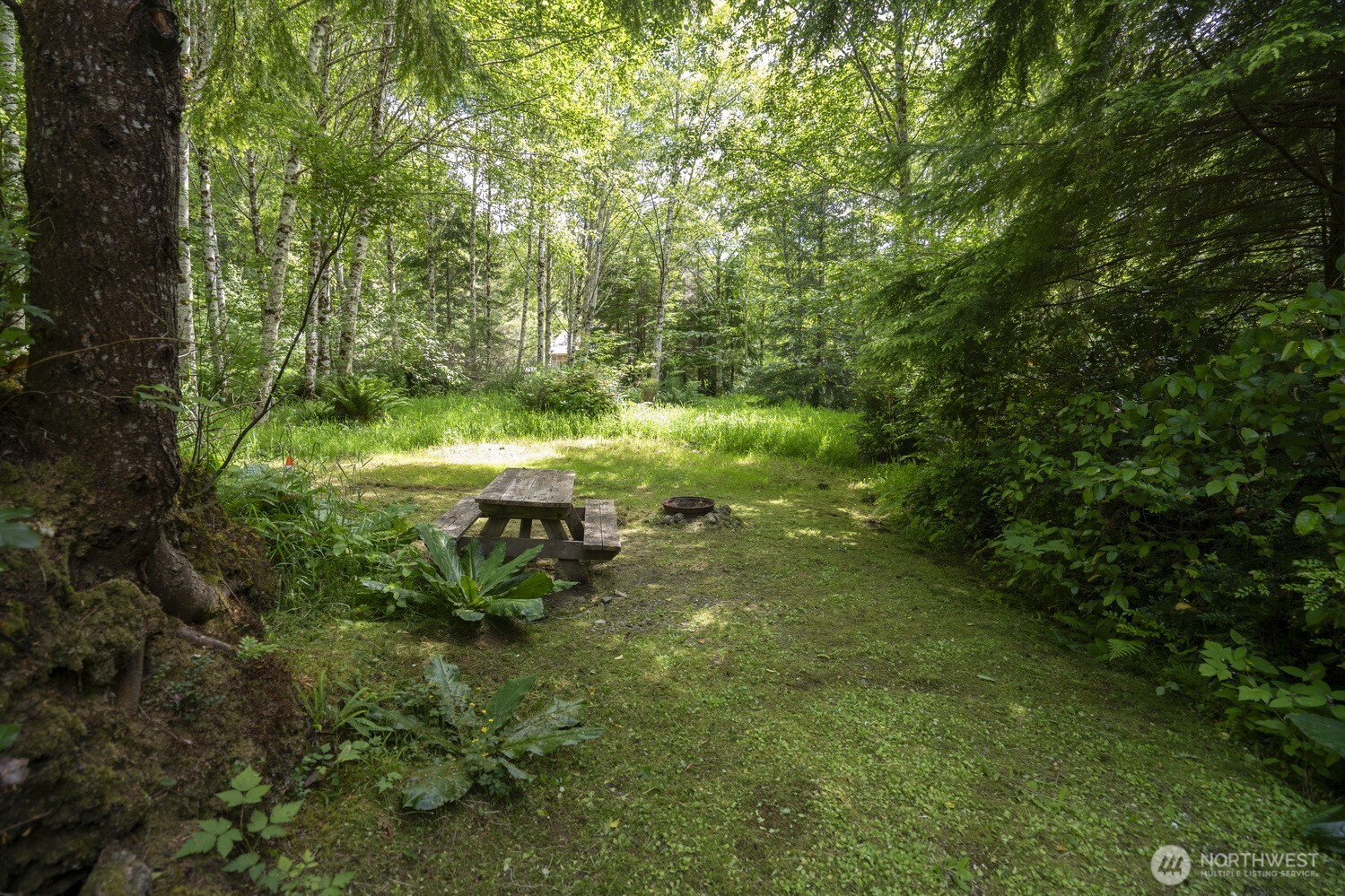 20860 Hoko-Ozette Road Clallam Bay, WA 98326 - Photo 21 of 40