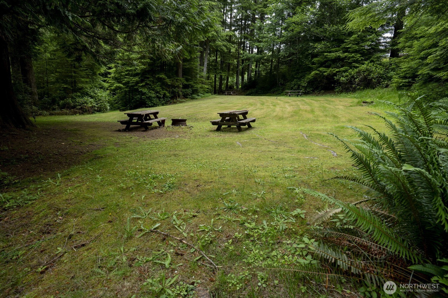 20860 Hoko-Ozette Road Clallam Bay, WA 98326 - Photo 24 of 40