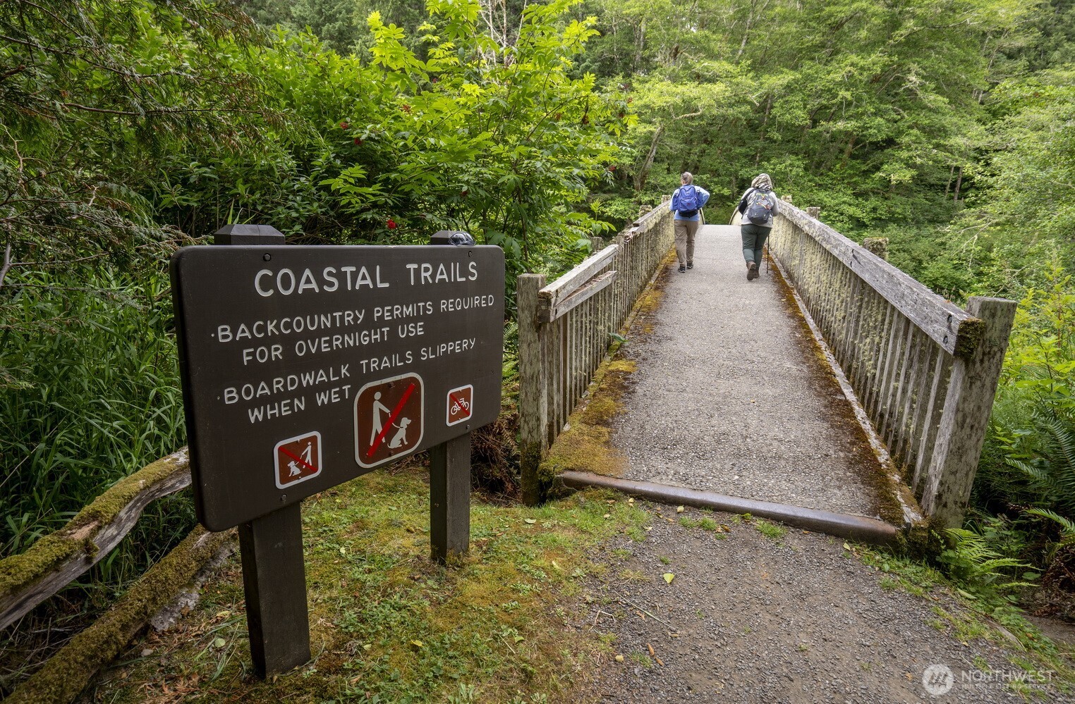 20860 Hoko-Ozette Road Clallam Bay, WA 98326 - Photo 39 of 40