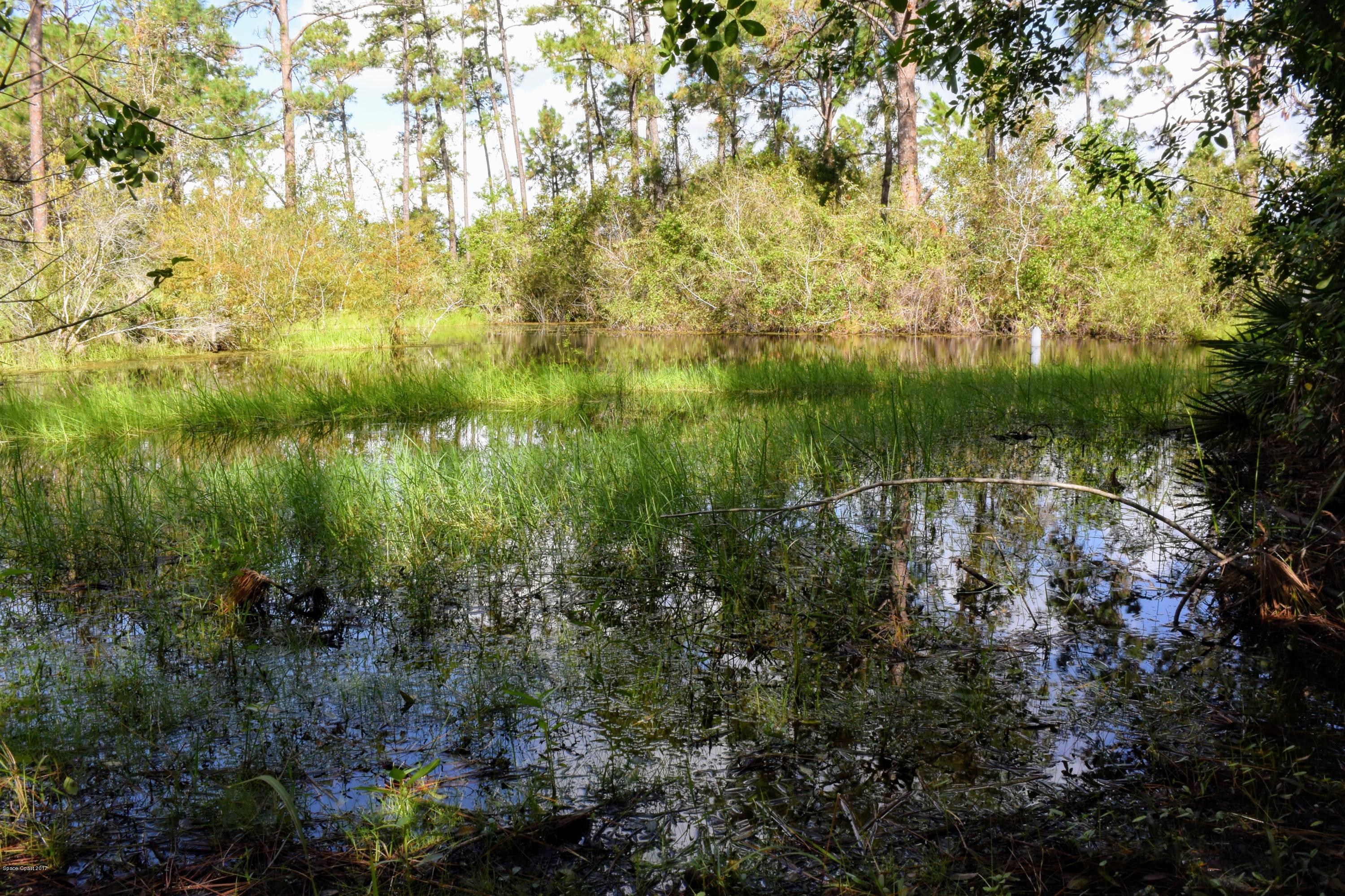 1560 Hidden Wood Road Cocoa, FL 32926 - Photo 26 of 35 Pond