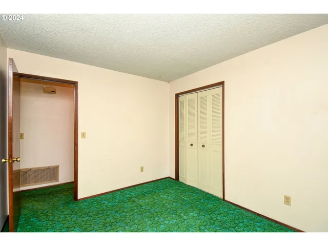 a view of a big room with closet and windows