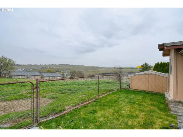 a view of a garden with trees