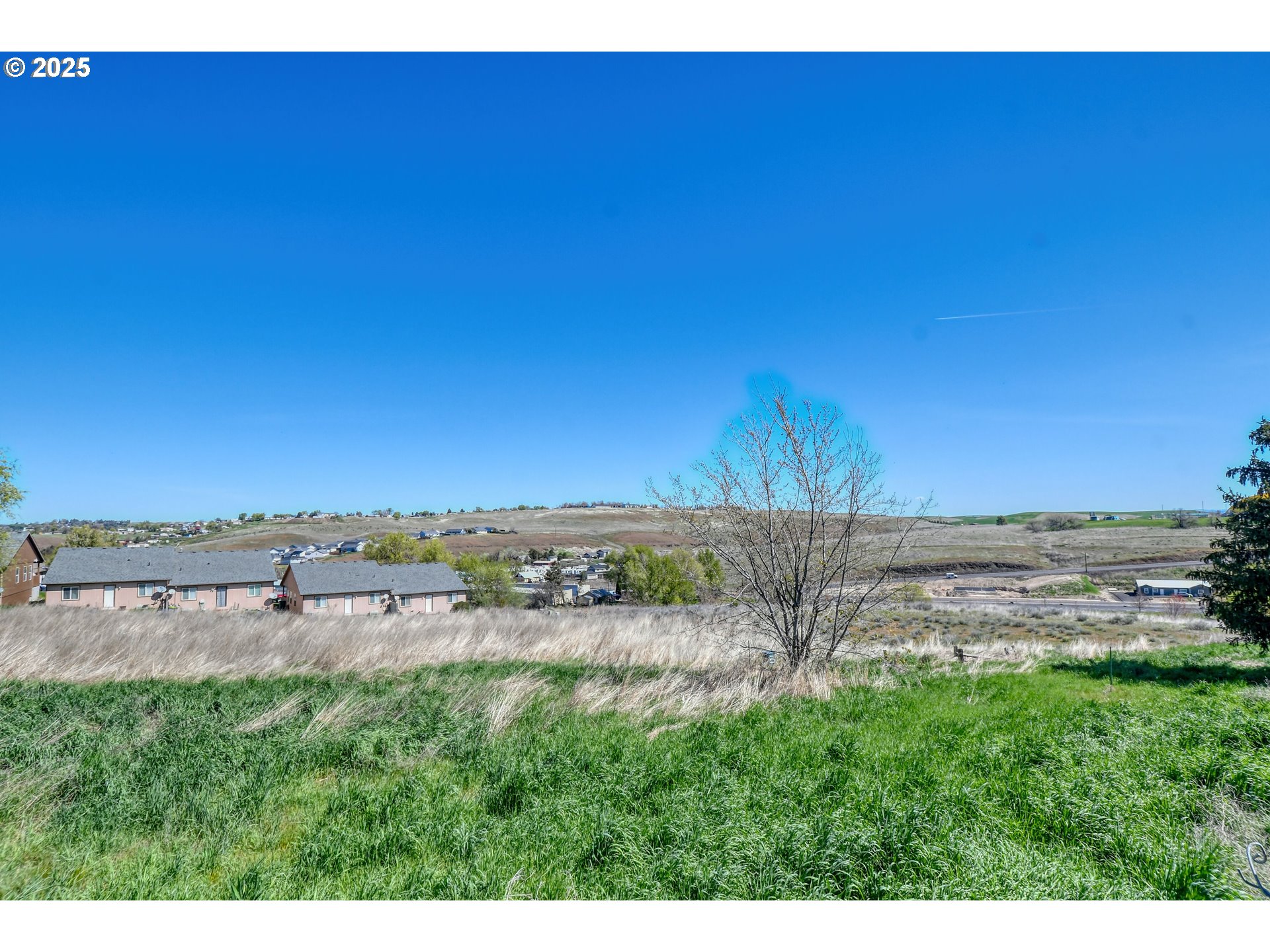 1209 Zeta Court Pendleton, OR 97801 - Photo 47 of 48 a view of a big yard with a building
