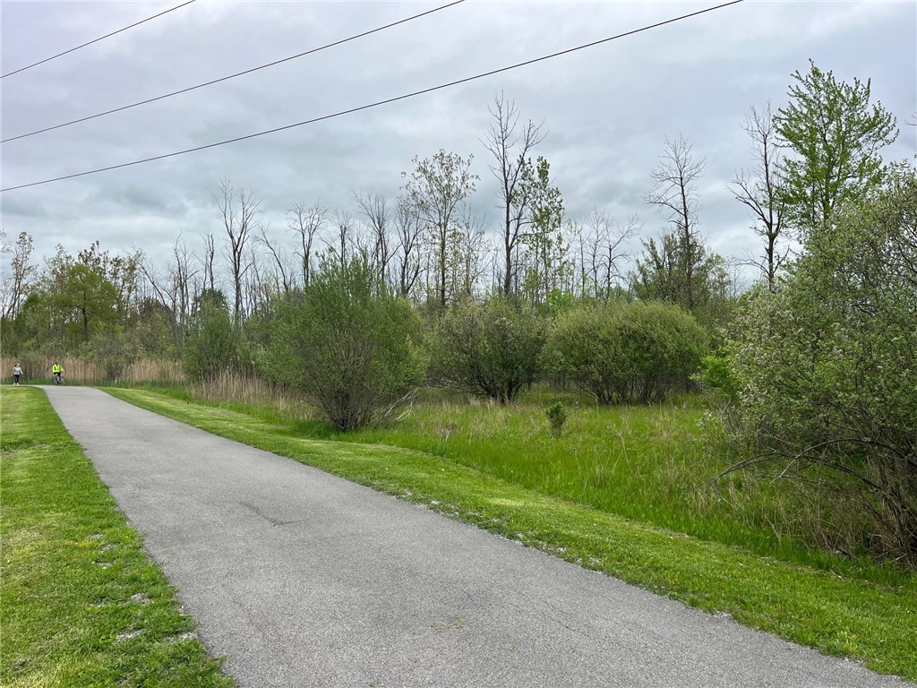 5670 Thompson Road Clarence, NY 14032 - Photo 5 of 11