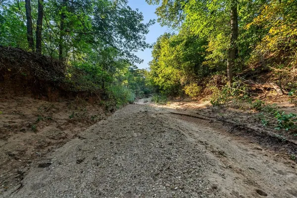a view of a dirt road with trees in the background