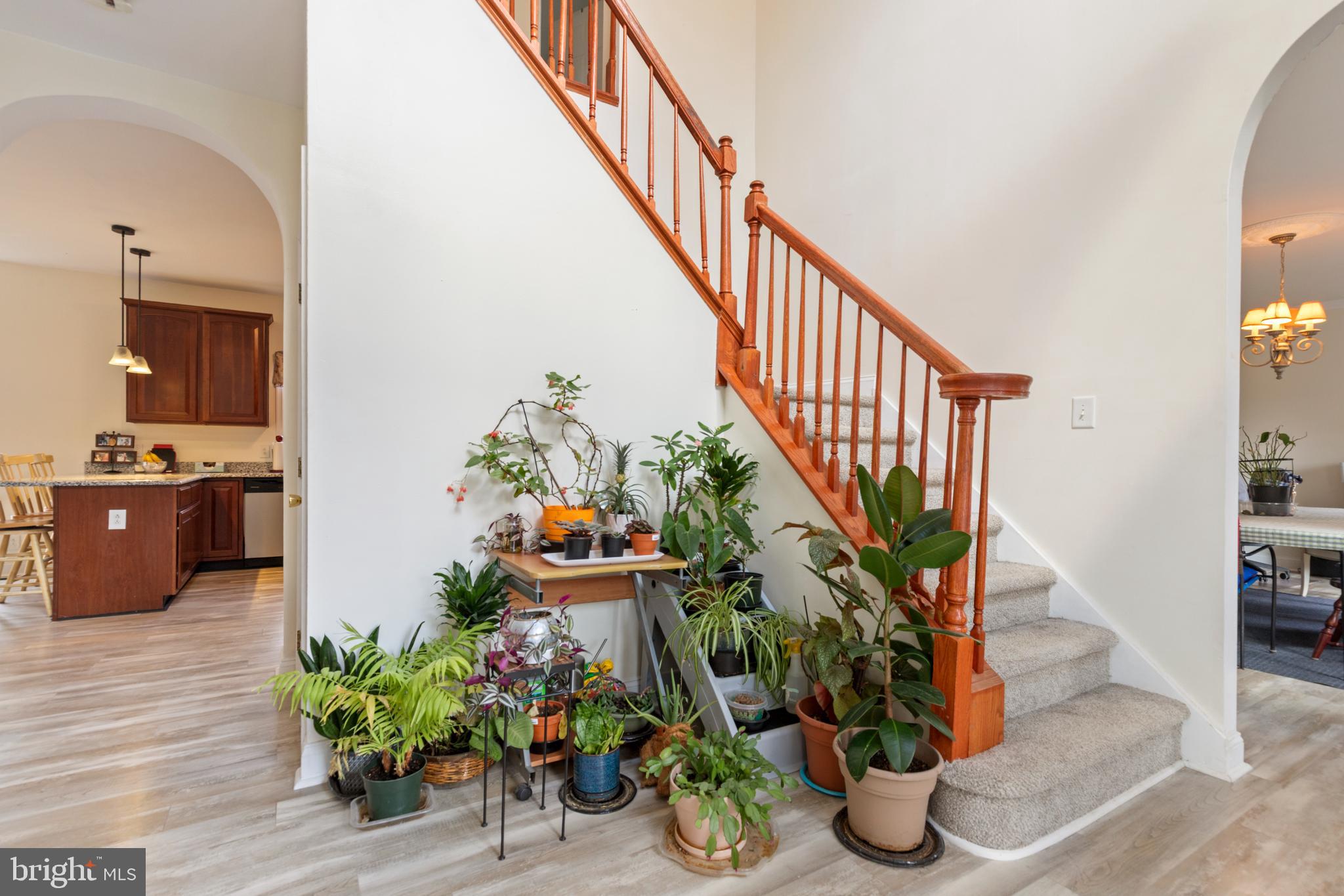 3336 Hunting Ridge Road Winchester, VA 22603 - Photo 3 of 50 a hallway with wooden floor and some potted plants