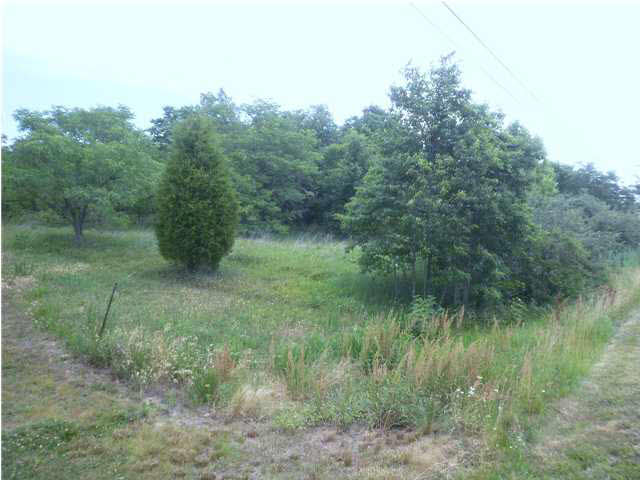 10022 Fisherville Road Elberfeld, IN 47613 - Photo 4 of 10