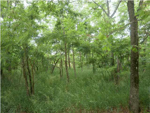10022 Fisherville Road Elberfeld, IN 47613 - Photo 10 of 10