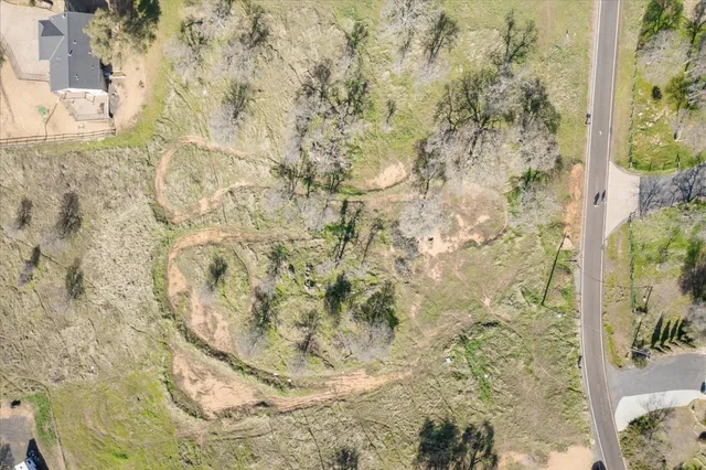 a view of a dry yard with trees in the background