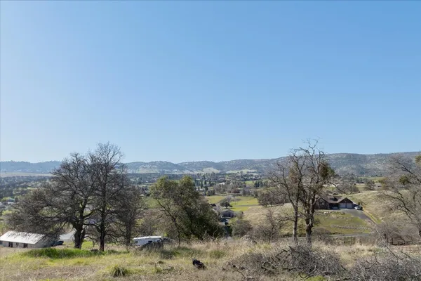a view of a yard with trees in the background