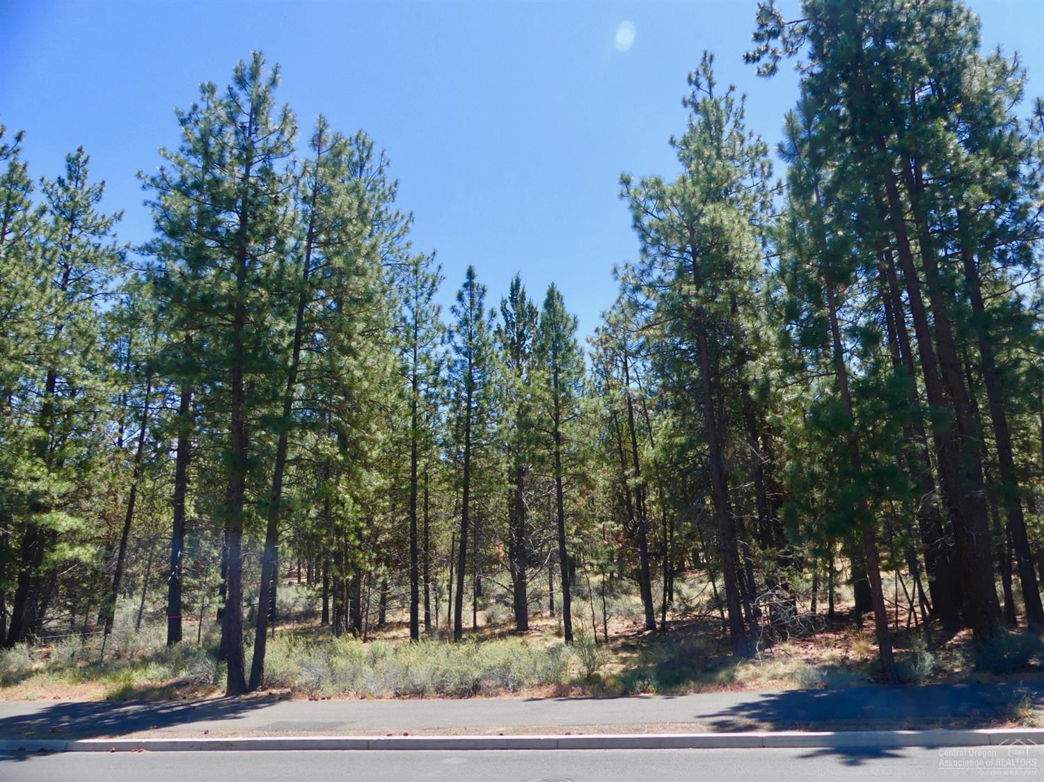 61470 Meeks Trail Bend, OR 97702 - Photo 8 of 20 Gallery Image 8