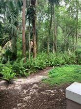 6808 West Sample Road, Unit 6808 Coral Springs, FL 33067 - Photo 8 of 12 Nature preserve