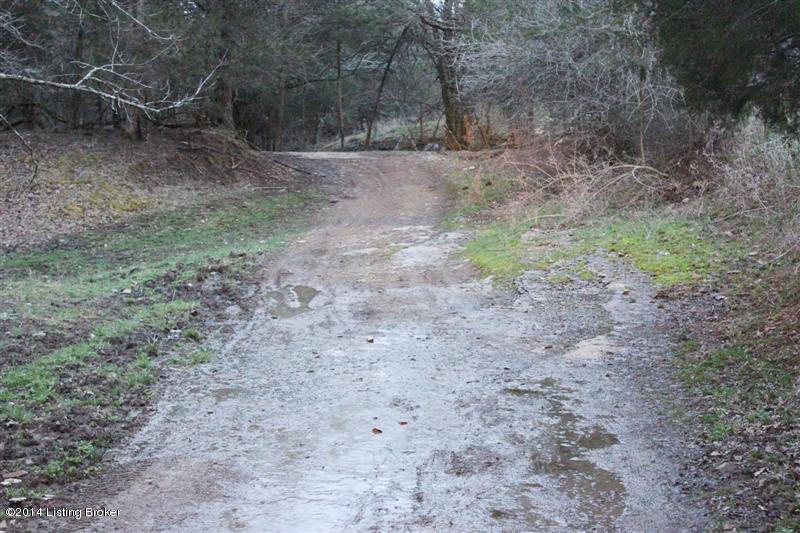 0 White Ridge Road Burkesville, KY 42717 - Photo 12 of 13 162 (Medium)