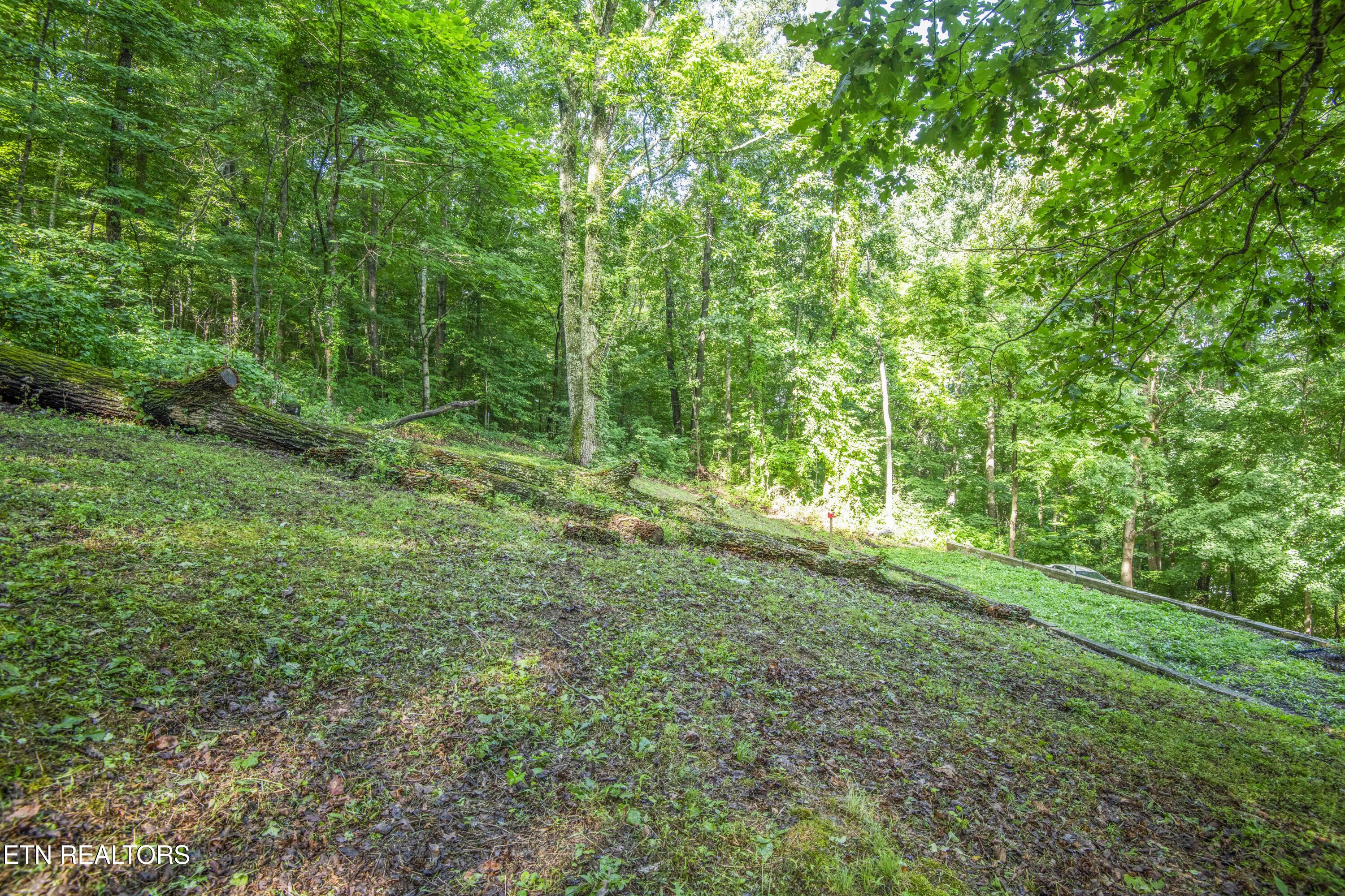 3110 Rifle Range Drive Knoxville, TN 37918 - Photo 42 of 53 yard 4_1