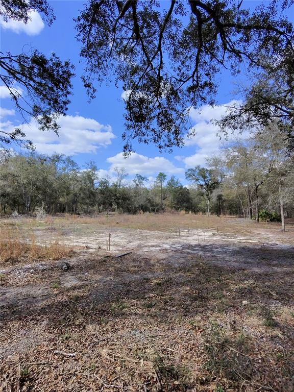 a view of dirt field with trees around