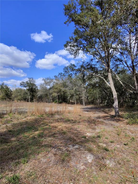 Tbd Northeast 96th Street Archer, FL 32618 - Photo 2 of 9 a view of outdoor space with mountain view