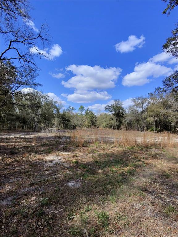 Tbd Northeast 96th Street Archer, FL 32618 - Photo 3 of 9 a view of lake with mountain view