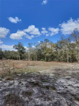 a view of dirt field with trees