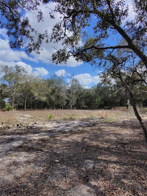 Tbd Northeast 96th Street Archer, FL 32618 - Photo 6 of 9 a view of ocean view with mountain