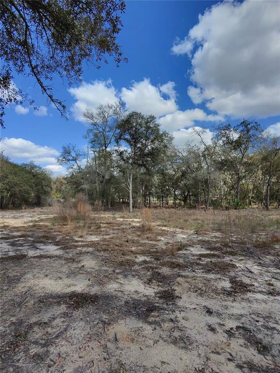 Tbd Northeast 96th Street Archer, FL 32618 - Photo 7 of 9 a view of outdoor space with green field