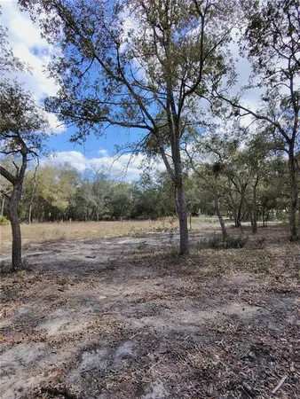 a view of an outdoor space