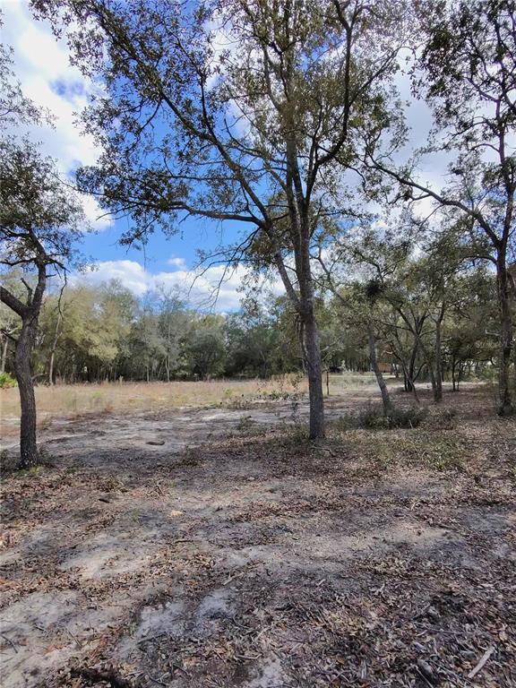 Tbd Northeast 96th Street Archer, FL 32618 - Photo 8 of 9 a view of an outdoor space